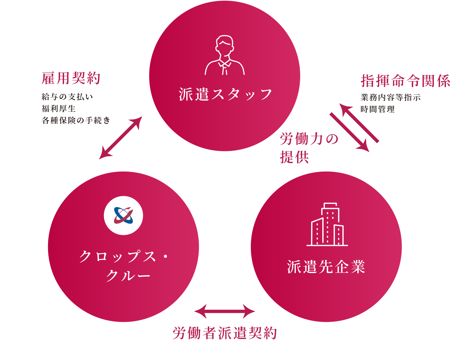 クロップス・クルー・派遣スタッフ・派遣先企業の関係図